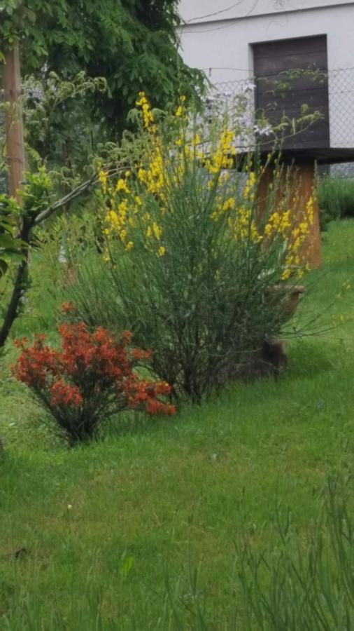 Castello dell'Acqua B & B Sentiero Valtellina מראה חיצוני תמונה