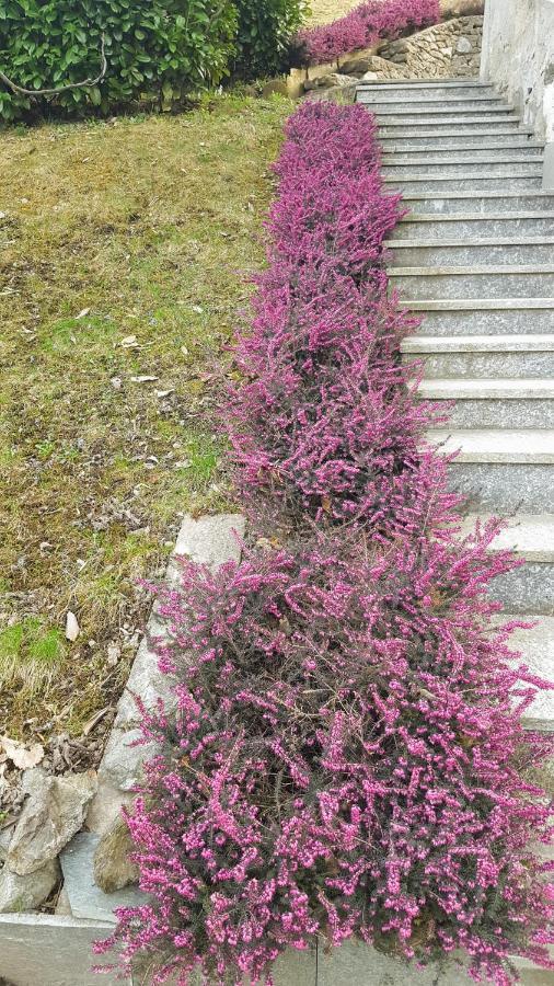 Castello dell'Acqua B & B Sentiero Valtellina מראה חיצוני תמונה