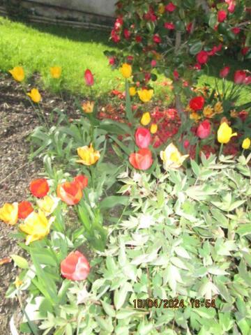Castello dell'Acqua B & B Sentiero Valtellina מראה חיצוני תמונה